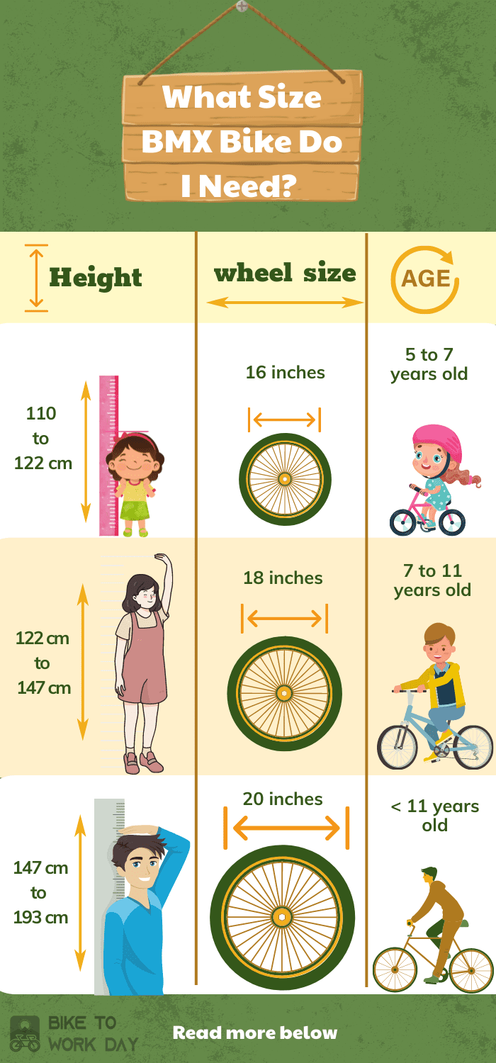 adult-bmx-bike-size