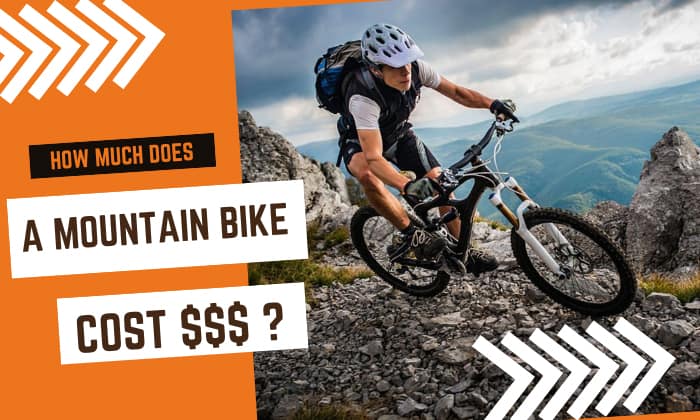 Cost of mountain clearance bike