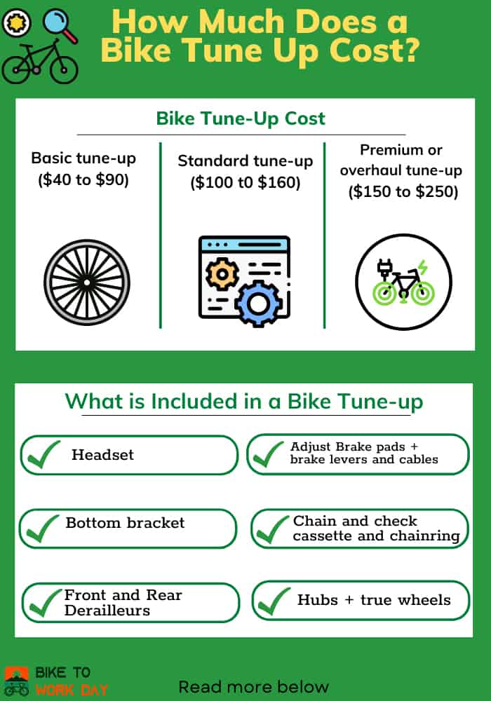 Average bike service cost new arrivals