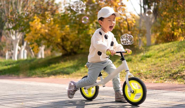 What Is a Push Bike Several Facts You Might Not Know