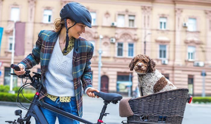 dog-on-a-bicycle