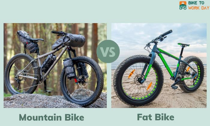 fat bike vs mountain bike
