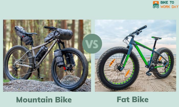 Fat best sale bike usage