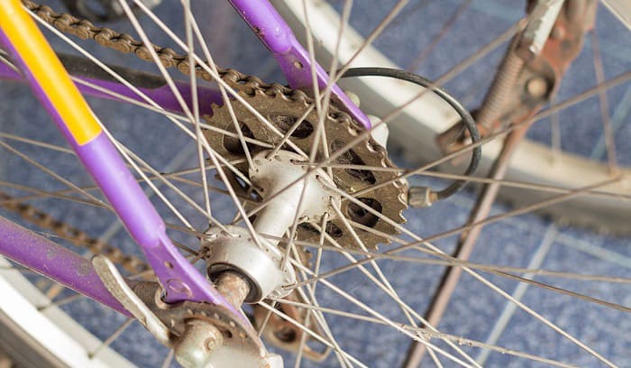 gear cycle freewheel