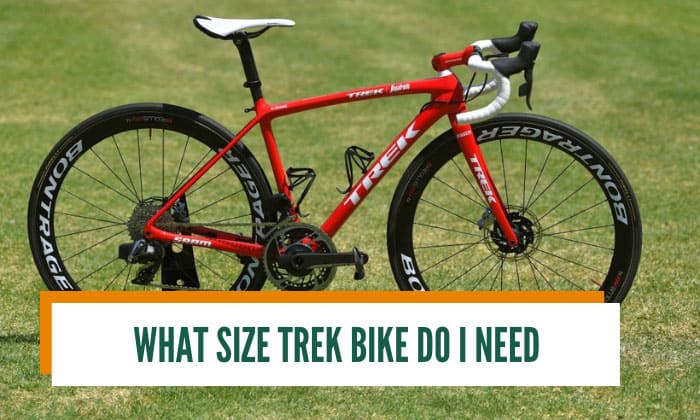 Trek alpha deals size chart