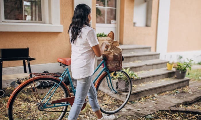 bike-bag-for-groceries