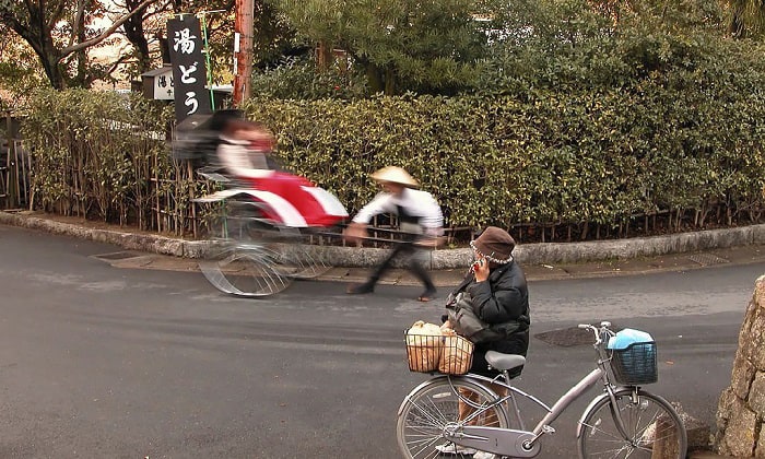 bike-rack-for-groceries