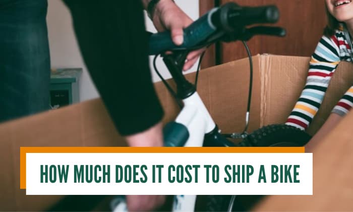 Fedex bicycle store shipping cost