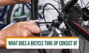 what does a bicycle tune-up consist of