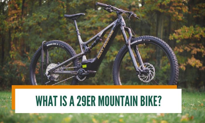 what is a 29er mountain bike