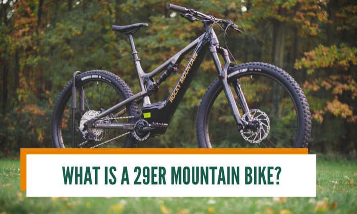 What is shop a 29er