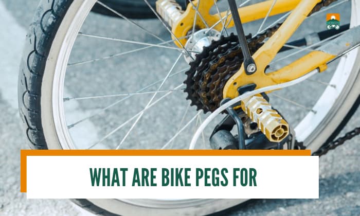 Mountain bike clearance pegs