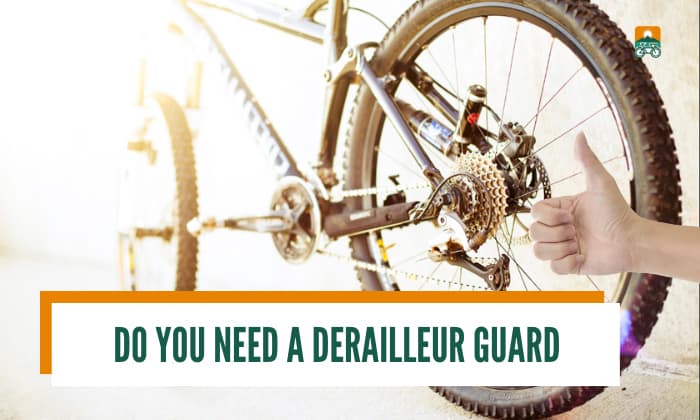 Bicycle discount derailleur guard