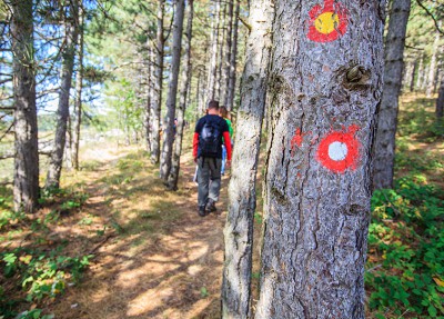 build-a-mountain-bike-trail-in-step-2