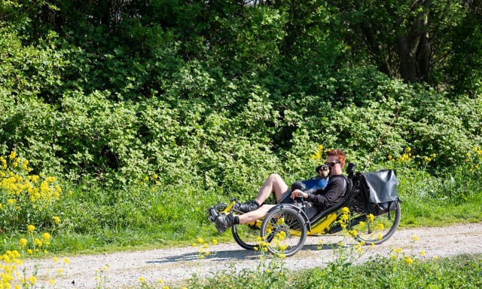 Recumbent bike meaning new arrivals