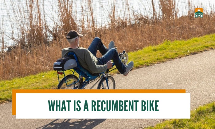 what is a recumbent bike