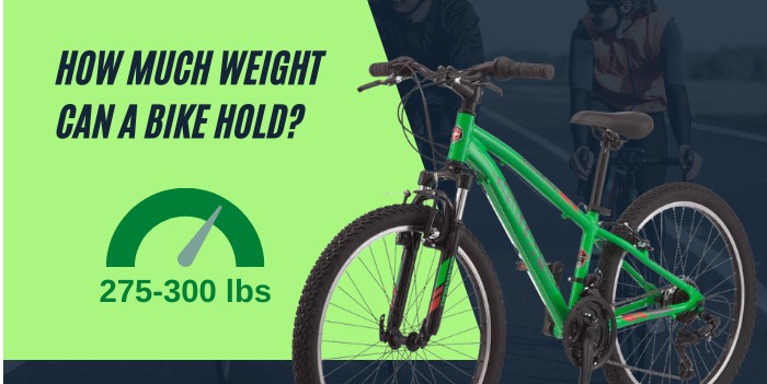 Bikes with 300 lb deals weight limit