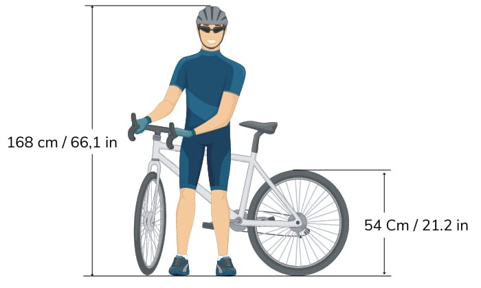 54cm Bike Frame for What Height Bike Sizing Guide