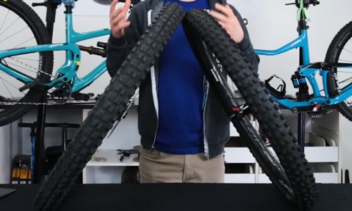 Durability-of-maxxis-vs-schwalbe