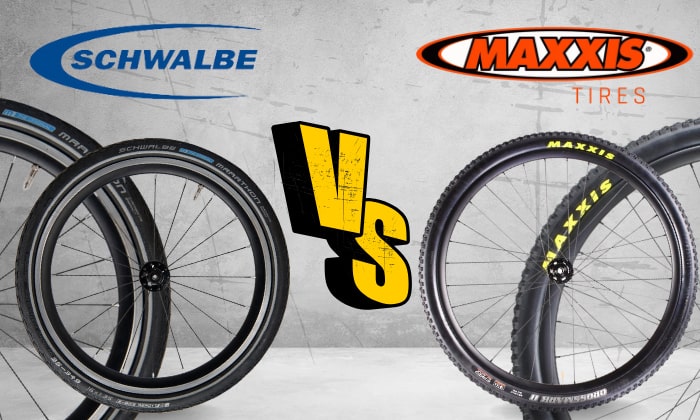 Maxxis schwalbe discount